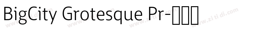 BigCity Grotesque Pr字体转换 BigCity Grotesque Pr字体转换
